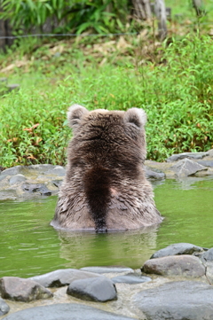 後ろ姿