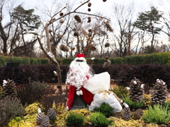 森林公園　サンタ