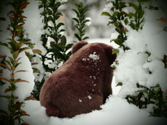 ぬいぐるみスナップ　後ろ姿