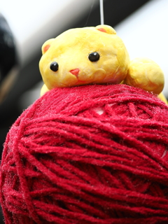 たぶんネコだと思います