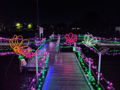 蓮の花のイルミネーション