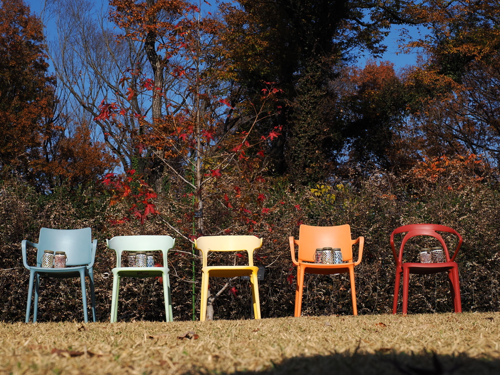 5色の椅子