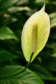 b550721c-c099-477b-8da5-3e636b1cd6e4-1_a
