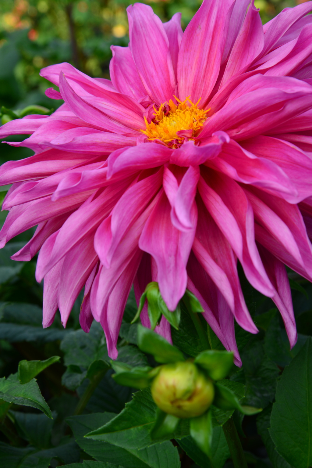 b550721c-c099-477b-8da5-3e636b1cd6e4-1_a