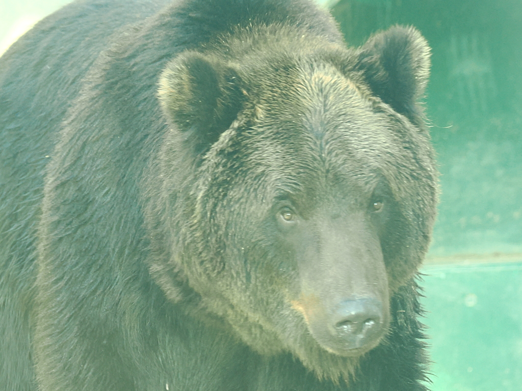 いい顔しています