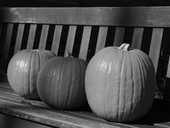 ベンチとカボチャ