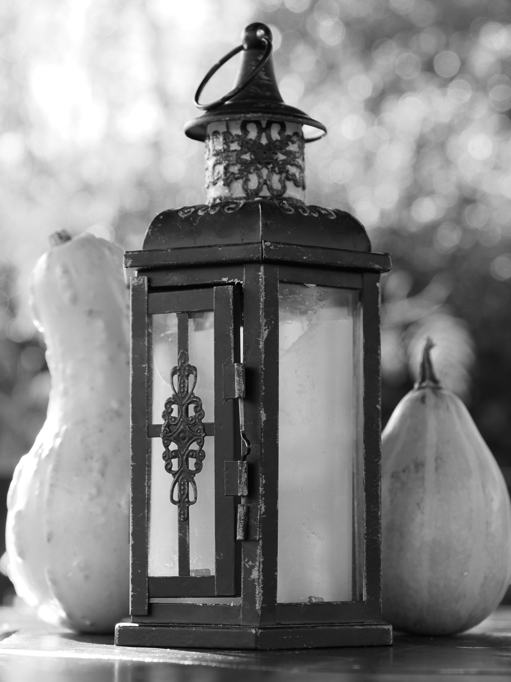 カボチャとランタン　5