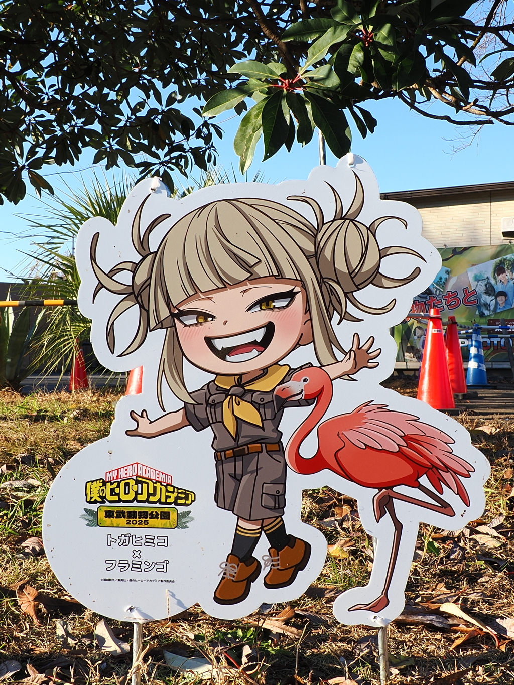 キャラクターコラボ　フラミンゴ