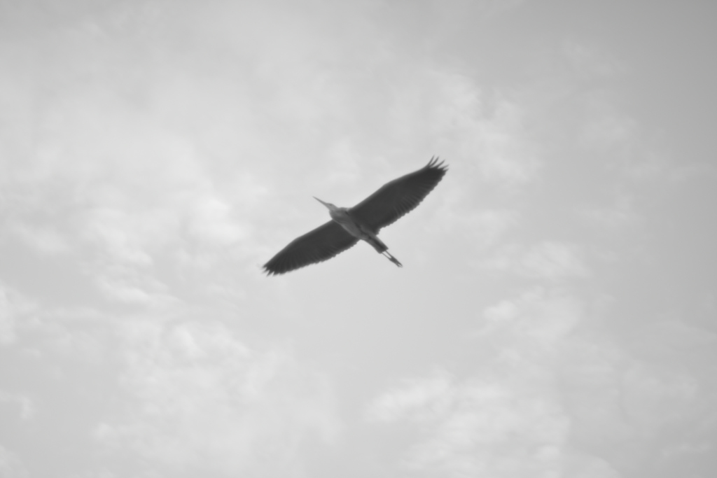 オールドレンズ