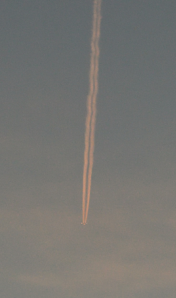 飛行機