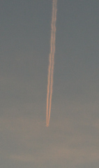 飛行機