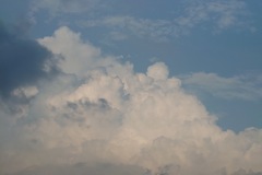 雲