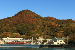 伊予鉄道700系767編成ラストラン