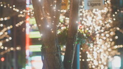 イルミネーション