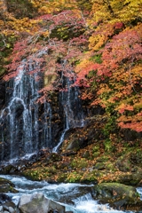 紅蓮の淵、冷たき真実