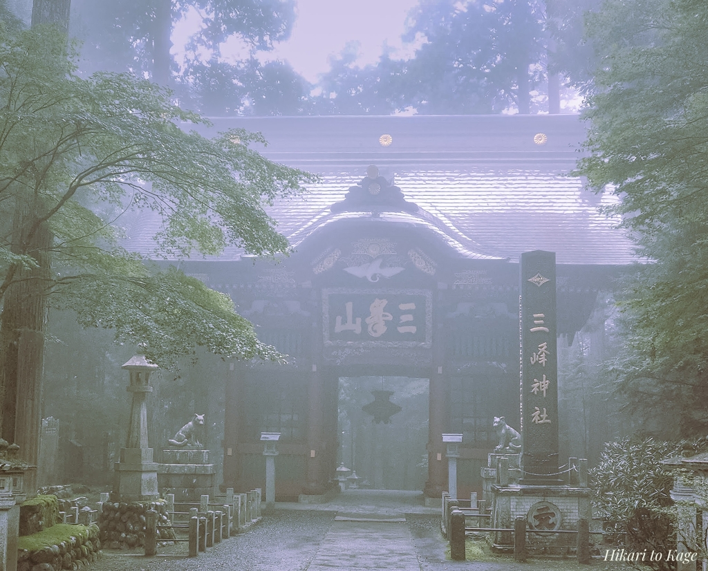 治癒の霧、光と記憶_W
