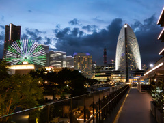 横浜夜景
