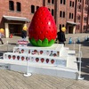 横浜ストロベリーフェスティバル