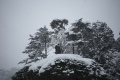 冬将軍