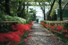 紅い参道。