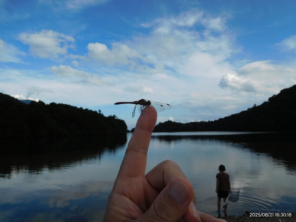 湯ノ湖の夏休み