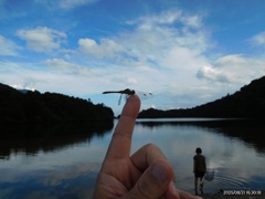 湯ノ湖の夏休み