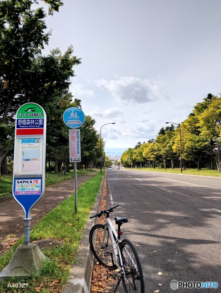 野幌森林公園、、、