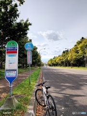 野幌森林公園、、、