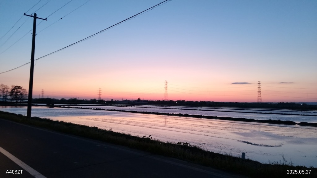稲植え前の水田・・・