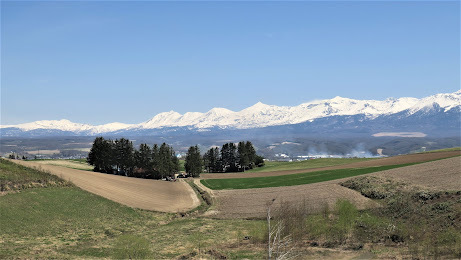 中富良野　初春
