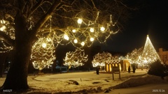 駅前公園のイルミネーション