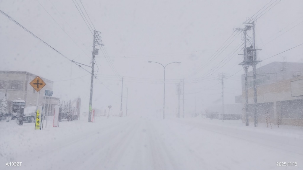 １１月なのに・・・