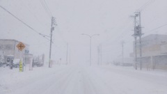 １１月なのに・・・