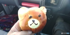 ヒグマ駆除、、、