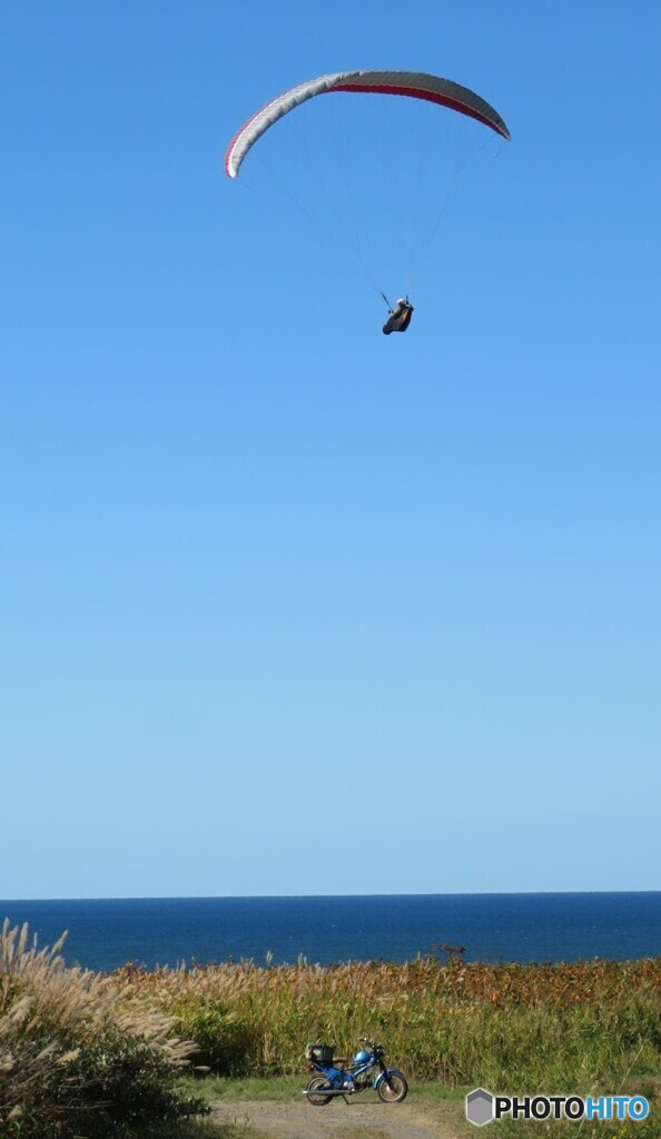 鳥になれ〜おおらかに