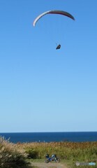 鳥になれ〜おおらかに