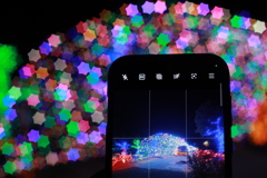 イルミネーション