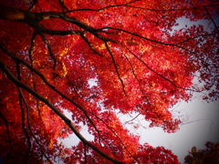 愛宕公園　BCL1580③