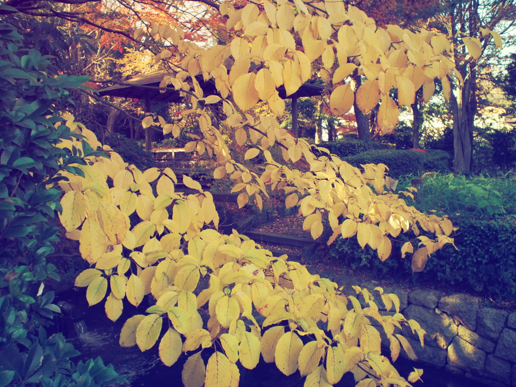 愛宕公園　BCL1580①