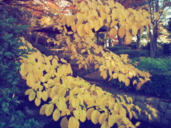 愛宕公園　BCL1580①