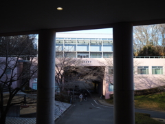 東京造形大学