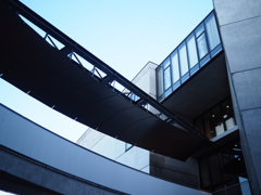 東京造形大学