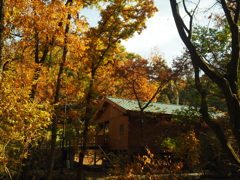 さいたま緑の森博物館③
