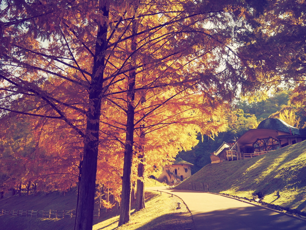 トーベ・ヤンソンあけぼの子どもの森公園②