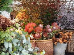 東京蚤の市2025①