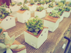 東京蚤の市2025③