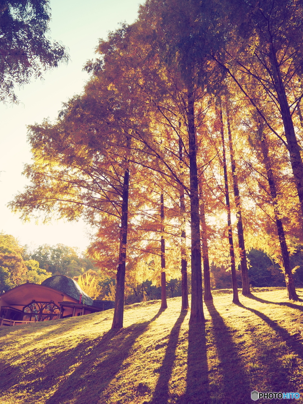 トーベ・ヤンソンあけぼの子どもの森公園③