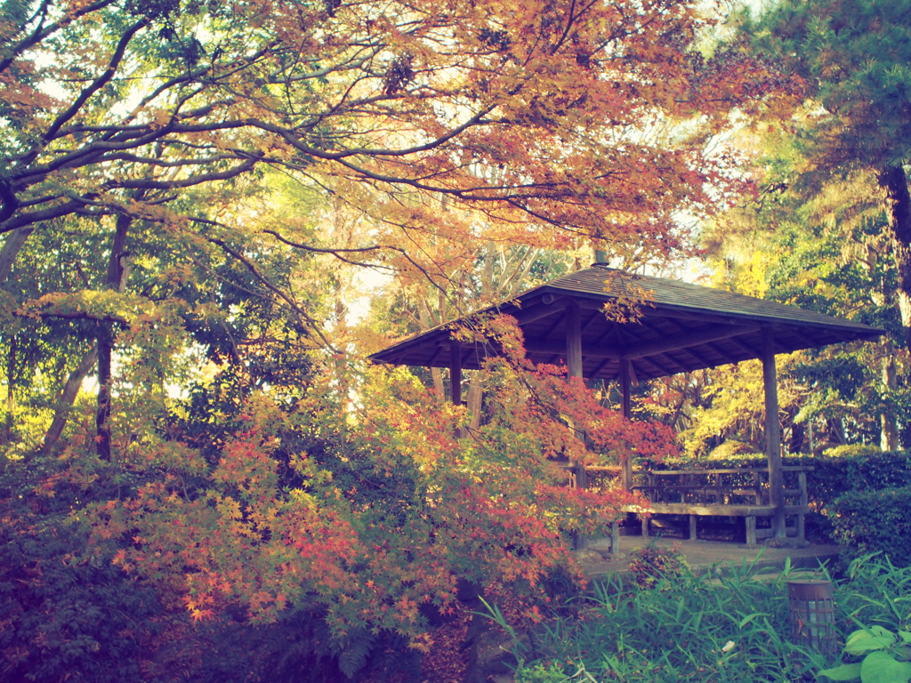 愛宕公園　BCL1580②