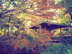 愛宕公園　BCL1580②