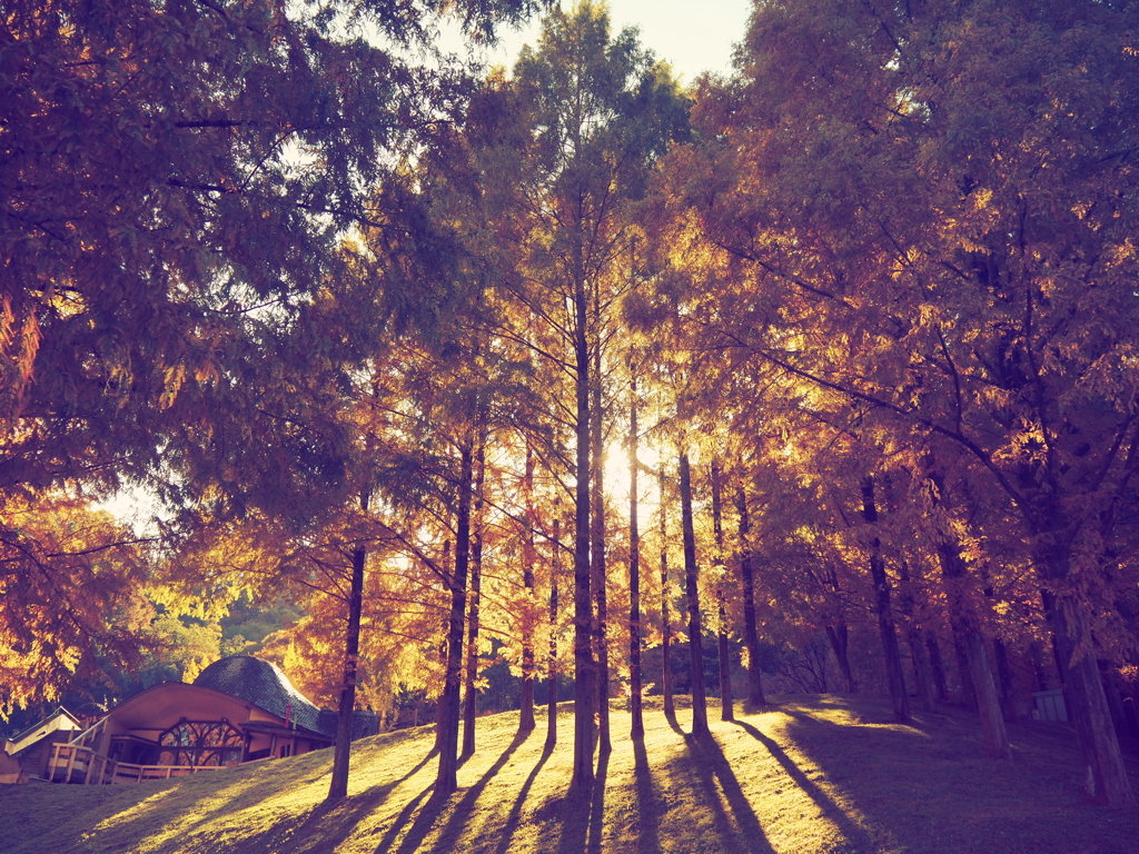 トーベ・ヤンソンあけぼの子どもの森公園①